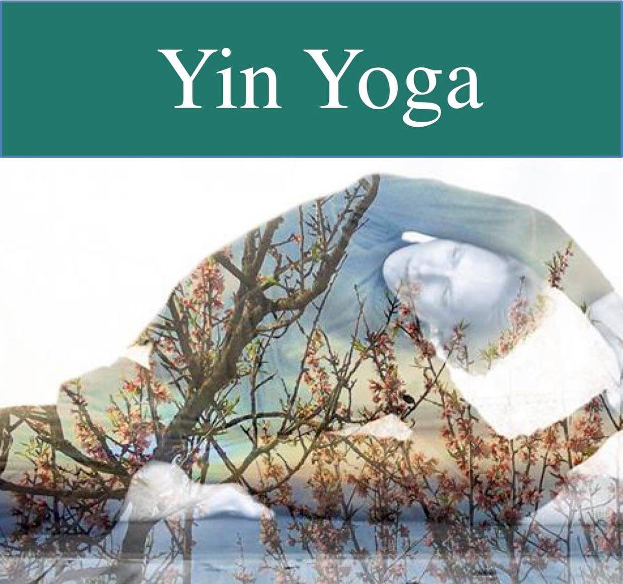 yin yoga sudaka
