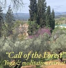 Yoga-meditation-retreat-Spain